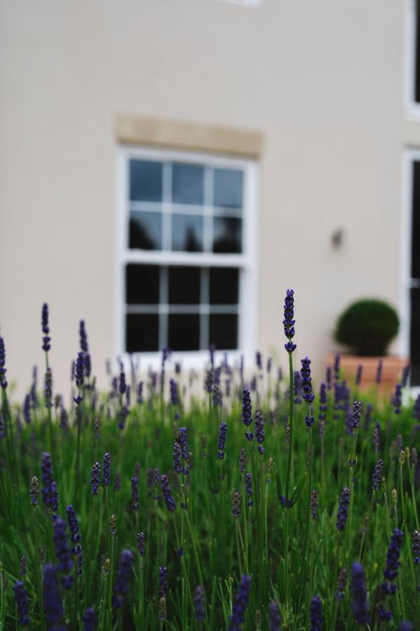 Large Country House - Hot Tub - Pool Table - Bbq - 5 Bedrooms - Log Burner Three Legged Cross Eksteriør billede